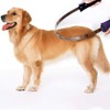BOTH WINNERS Dual-Sided Shedding Blade with Stainless Steel Blade, De-Shedding