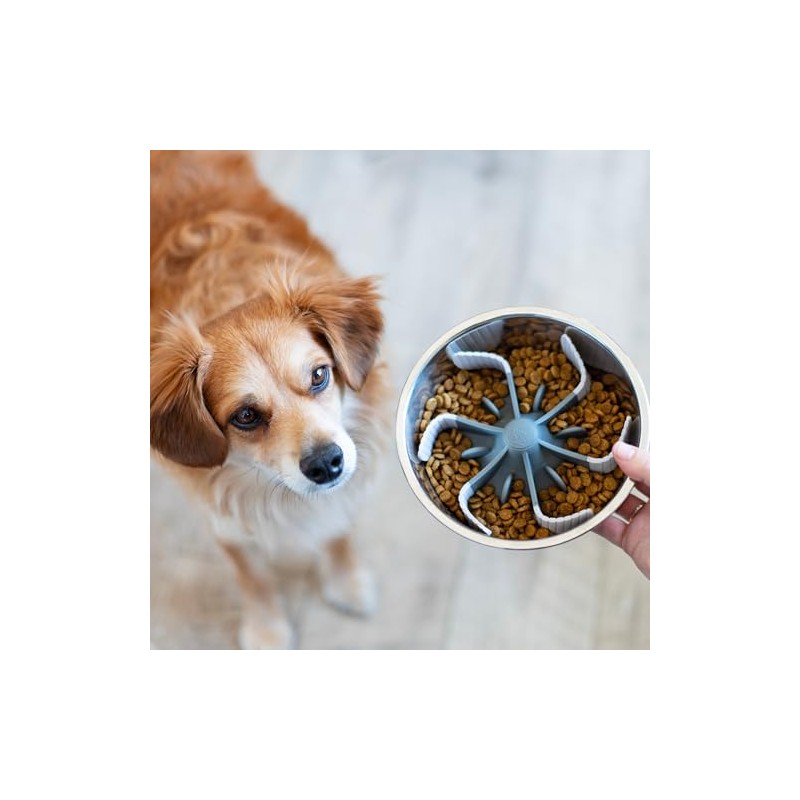 Messy Mutts Slow Feeder Bowl Insert with Suction | Slow