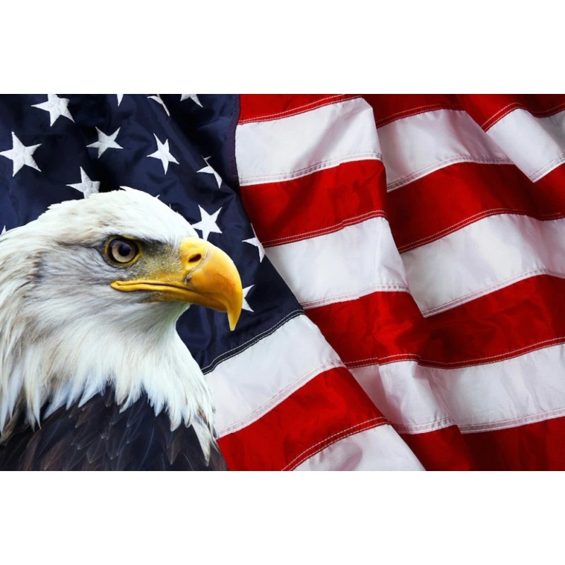 TCL 50S535 WIFI MODULE WC1KR2601