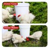 Gugull DIY Chicken Feeders No Waste, Automatic Chicken Feeders and