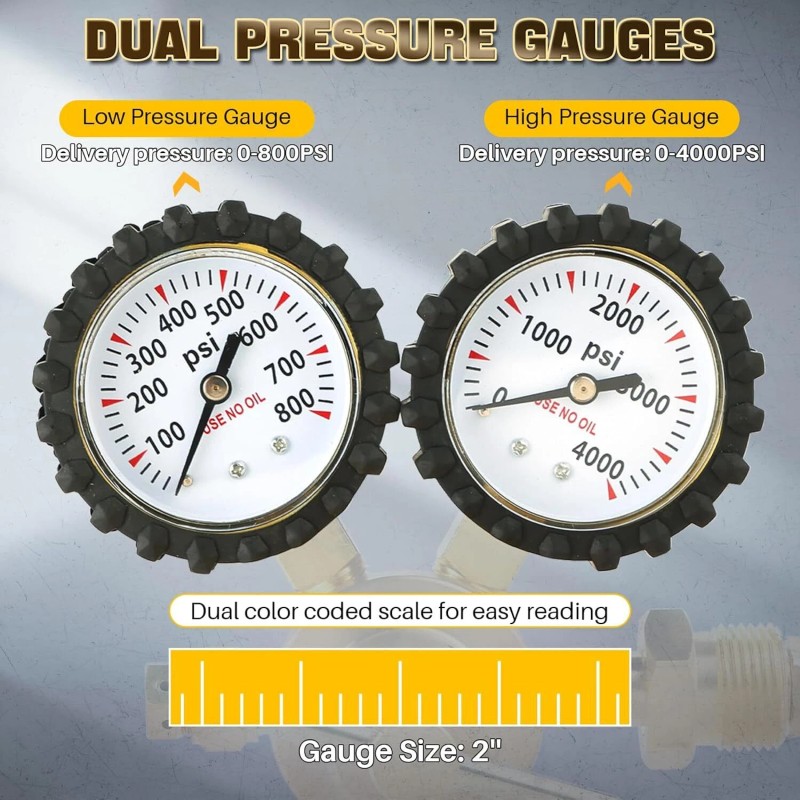 Unbranded Professional Nitrogen Regulator w/ Hose 0-800 PSI Output Pressure