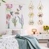 Marsui 3 Set Double Glass Frame Collage For Pressed Flowers
