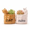 Cute Small Succulent Planter Set, 2-Pack Ceramic Garden Pots