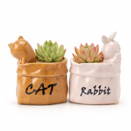 Cute Small Succulent Planter Set, 2-Pack Ceramic Garden Pots