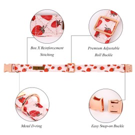 Lionet Paws Dog Collar with Bow Tie, Adjustable Detachable Bowtie Collar for Puppy Small Medium Large Dogs and Cats Girl Boy Gift