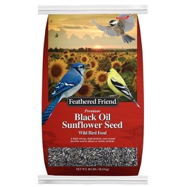 GLOBAL HARVEST FOODS Feathered Friend 14422 Black Oil Sunflower Seed Wild Bird Food, 40 Lb. Bag - Quantity 1
