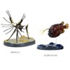 Carolata 3D Illustration Book, Deep Sea Fish Figure, 7 Types