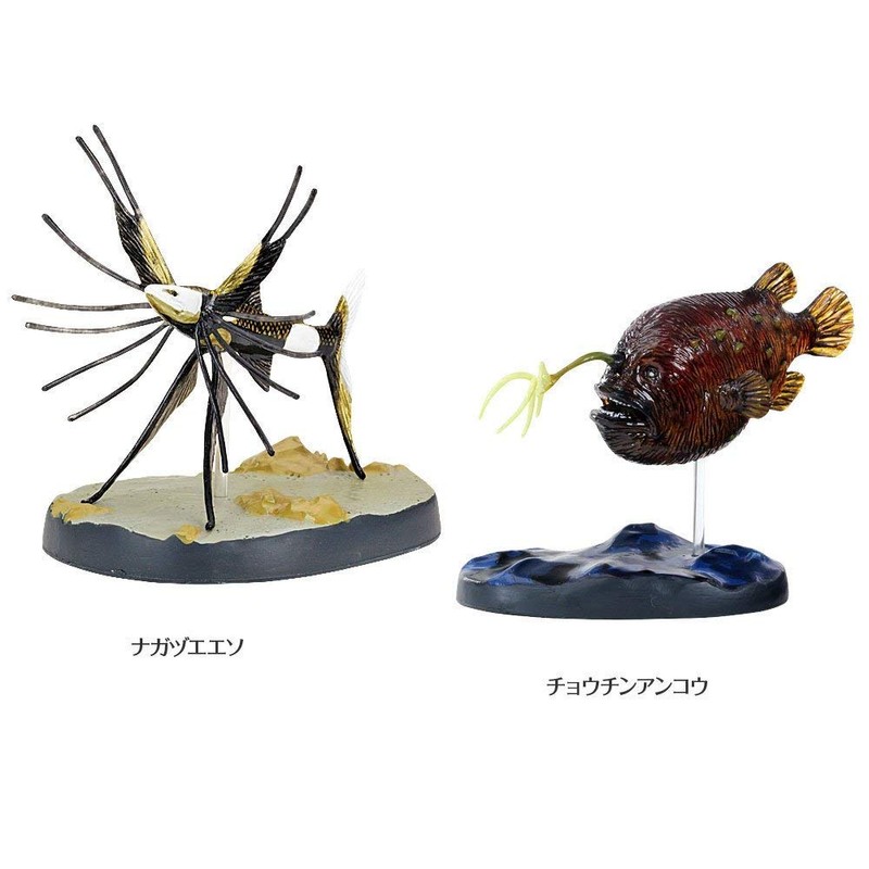 Carolata 3D Illustration Book, Deep Sea Fish Figure, 7 Types