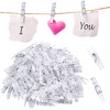 Pack of 100 Transparent Clips, Small Clips, Plastic Photo Clips,