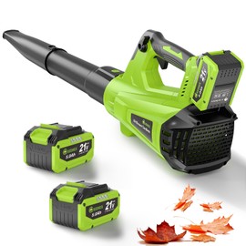 GREENER 21V Leaf Blower Cordless - 580CFM/160MPH Turbo Mode Electric Leaf Blower with 2 X 5.0Ah Battery and Fast Charger Included, Blowing Leaves and Dust, Patio Cleaning