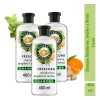 Shampoo Herbal Essences Mandarina, Jengibre, Menta 400ml 3pz