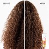 Pantene Curl Perfection Sculpting Gel 6.8 oz (Pack of 3)