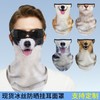Outdoor Sports UV Protection Ear-Loop Mask - Animal Pattern Riding Ice Silk Face Cover One Size/HC-8017-37 10ea