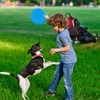 Bansusu Dog Frisbee Toy Set, 2-Pack Non-Toxic Rubber Flying Discs,
