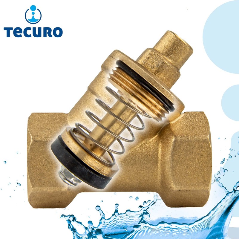 tecuro Angled Seat Check Valve Rp 1 1/4 (5/4) Inch