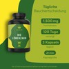 TRUE NATURE Organic Dandelion Root Extract (10:1) - 1500 mg/day