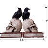Evil Omen Raven On Skull Perch Decorative Bookend Set
