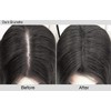 Joan Rivers Great Hair Day Root Touch Up Powder –