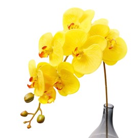 Corkwaw 50 Pcs Orchid Petals Artificial Decorations Orchids Heads Flowers Faux Silk Phalaenopsis Butterfly Flower Heads for Handmade DIY Home Wedding Party Decoration (Yellow)