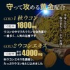 ユウキ製薬 黒マカ ウコン 20-25日分 200粒 サプリ 秋ウコン クルクミン
