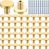 Therwen 50 Pcs Cabinet Knobs Brushed Brass Round Drawer Pulls