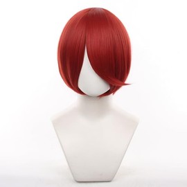 Eileen Cosplay Wig, Medium, Dark Red Wig, Fluffy, Hair, 11.8 inches (30 cm), Versatile Type, Cosplay Wig, Unisex, Heat Resistant, Event Wig with Net
