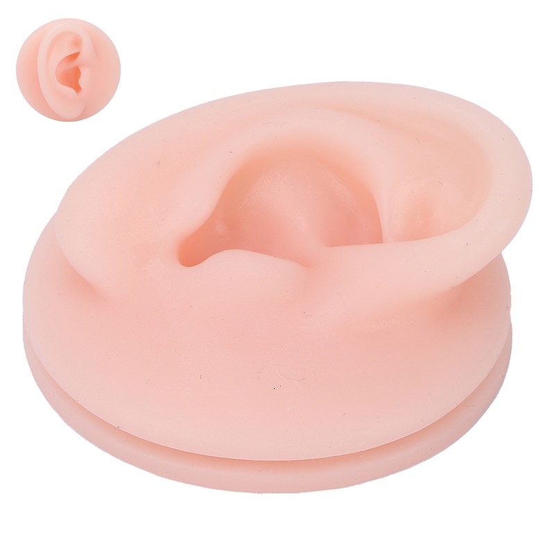 Professional Soft Silicone Ear Model Fake Ear Display Sample Ear