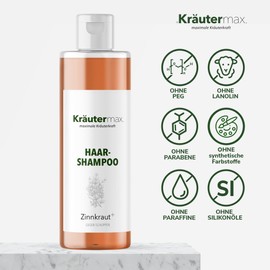 Zinnkraut Horsetail Shampoo Anti Dandruff Hair Shampoo 1 x 250 ml