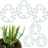Hysagtek 6PCS Monstera Plant Support, Plant Stem Support Durable Monstera