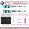 [NEURAD]ネイルチップ 足用 青 24枚入 フットネイル フットネイルチップ 足用ネイルチップ マグネット 夏 付け爪