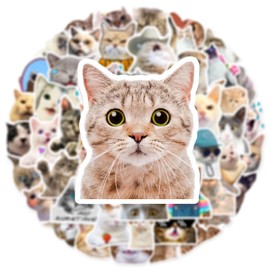Aigemumy 50 PCS Kittens Stickers Cat Cute Animal Aesthetics Sticker Kawaii Waterproof Vinyl Decal for Journaling Laptop Scrapbook Water Bottles Phone Caps Luggage for Adults Teens Kids Womens