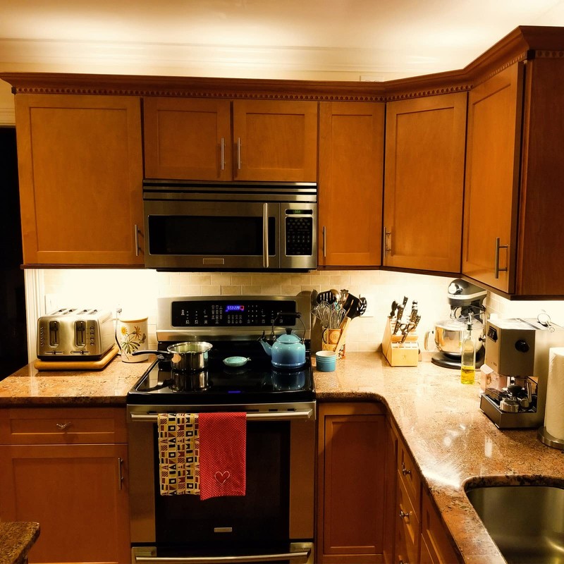 Litever Under Cabinet LED Lights Kit Dimmable by AC in-Wall
