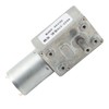 DC24V Double Shaft Worm Gear Motor 4632‑370 High Accuracy Speed