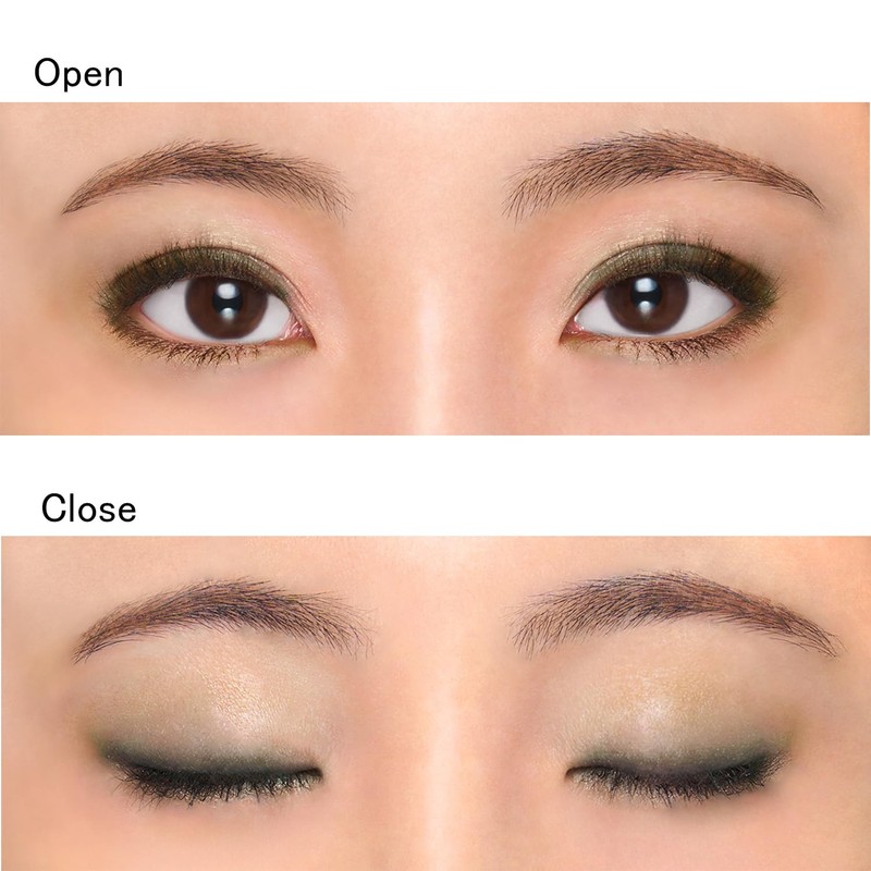 Chifure Twin Color Eye Shadow 09 Black Series
