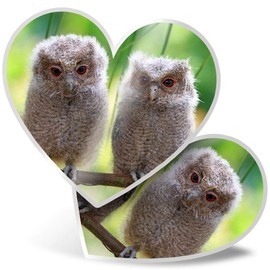 2 x Heart Stickers 7.5 cm - Cute Baby Owls Wild Nature Fun Decals for Laptops,Tablets,Luggage,Scrap Booking,Fridges, 2322