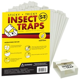 S&T INC. Insect Traps, 60 Count, Glue Traps for Brown Recluse, Hobo Spiders, Black Widows, Use in Home, Basement or Garage, or Utility Rooms for Pest Control