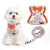 PUPTECK Dog Harness and Leash Set Small Sized, Step-in Cute