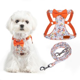 PUPTECK Dog Harness and Leash Set Small Sized, Step-in Cute Puppy Harness, Soft Lightweight Padded Vest, Escape Proof No Pull Pet Harnesses Easy for Walking, Flower Orange, XXS