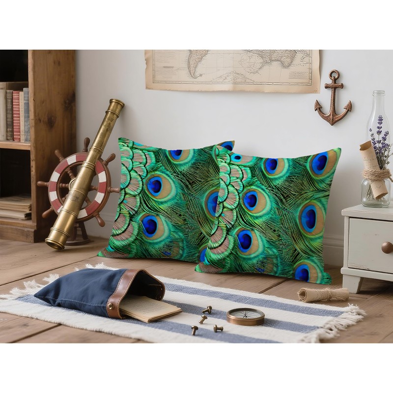 Doobicy 18X18 Inch Peacock Feather Throw Pillow Covers Set of