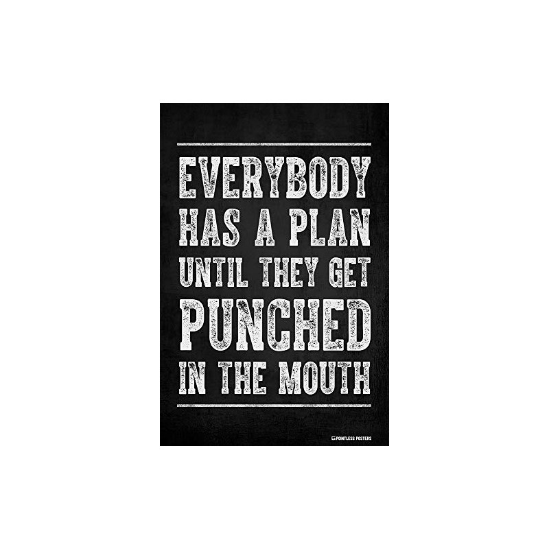 Everybody Has A Plan Until They Get Punched In The