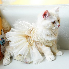 MERCRI Puppy Wedding Dress for Small Dog Girl Bow Knot Dog Tutu Dress Luxury Cat Lace Skirt Chihuahua Pomeranian Yorkie Clothes for Birthday Christmas Party (A, Medium)