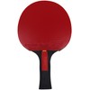 Butterfly Dimitrij Ovtcharov Ruby Table Tennis Bat