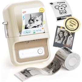 NIIMBOT B21 Pro Label Printer,300DPI (White)