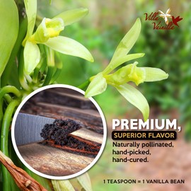 Villa Vainilla Mexican Vanilla Beans - All Natural, Whole Grade AA Vanilla Pods, for Vanilla Extract and Baking, Gift Set, Pack of 5 whole Vanilla Beans