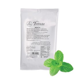 Almar Granita GUSTO MENTA Senza Glutine Senza Glicerolo - CONFEZIONE BUSTA 700G