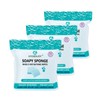 HYGIENJOY Skin Cleaning Wipe (75 Counts, 3 Packs) - Rinse