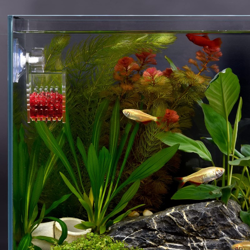 WEAVERBIRD Cone Red Worm Feeder Acrylic V-Shape Shrimp Fish Tank