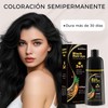 Black Hair Dye Shampoo 3 in 1, Shampoo Tinte para