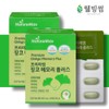 Premium Gingko Memory Plus Ginkgo Leaf Extract Vitamin Nutrient 4 Months / 프리미엄 징코 메모리 플러스 은행잎추출물 비타민 영양제 4개월