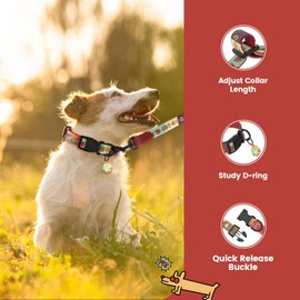 Pawview Small Dog Collar and Leash Set with Smart ID Tag – Adjustable Collar for Small, Medium, and Large Dogs (M, Sunrise, 33–51 cm)